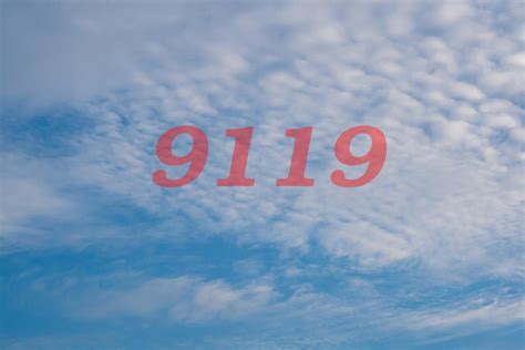 9119.