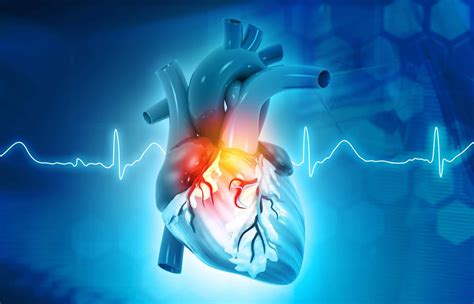 Cardiology.