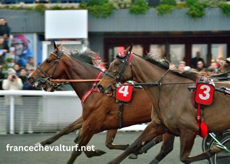 FRANCECHEVALTURF.