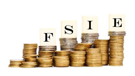 FSIE.