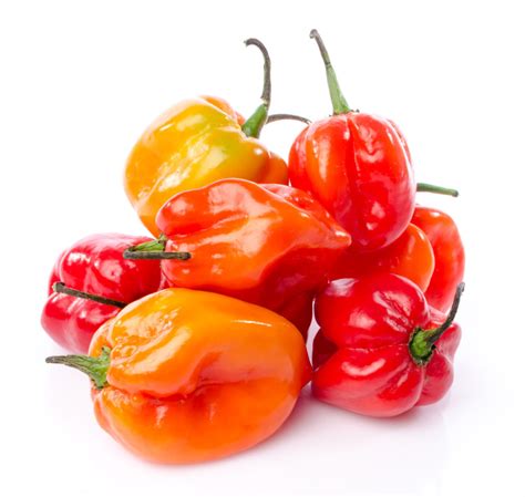 Habanero.