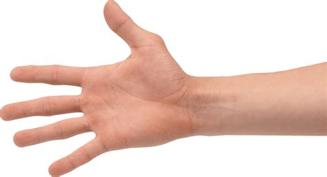 Hand.