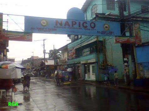 NAPICO.