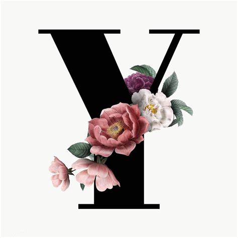Y.
