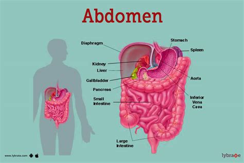 abdomac