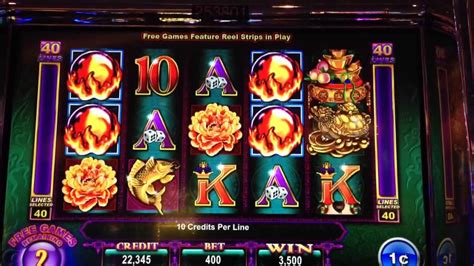 dragon888bet