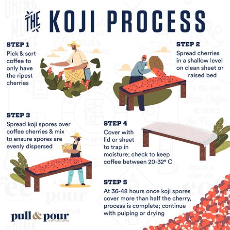 kojui