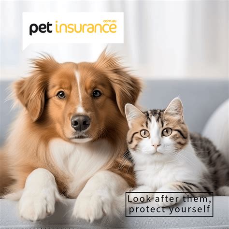 my.petsure.com.