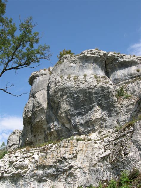 sitego.