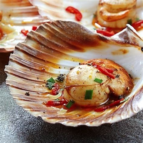 tiefseescallops.