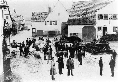www.viebach.org.