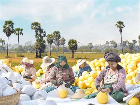 ၀န်ဆောင်မှုများ.