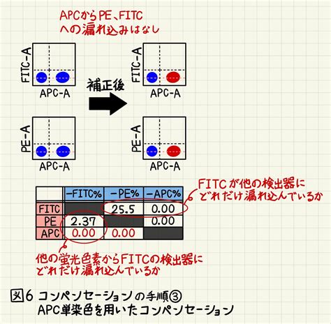 コンペンセーションとは.